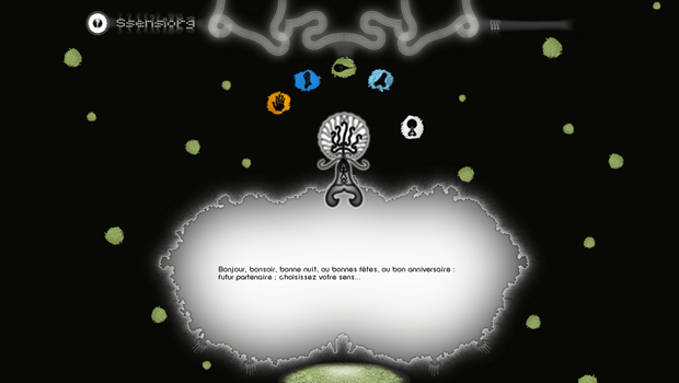 SSENS Portfolio Design SSENS Portfolio Design